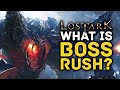 LOST ARK | What is Boss Rush? Endgame Guide & How to Unlock