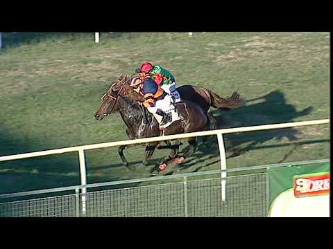 Napoli Galoppo 18/12/2022 - 4ª corsa