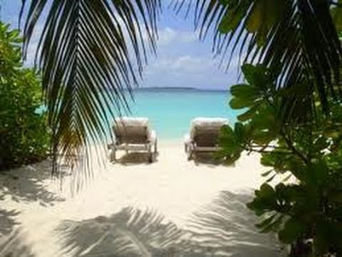 Reggae リミックス・カバー