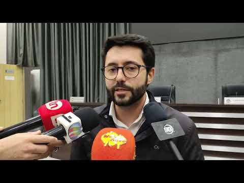 Câmara aprova medida que combate omissão em atropelamentos de animais