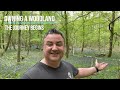 Owning a Woodland | Things to Consider | The Journey Begins!