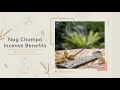 9 Wonderful Benefits Of Nag Champa Incense