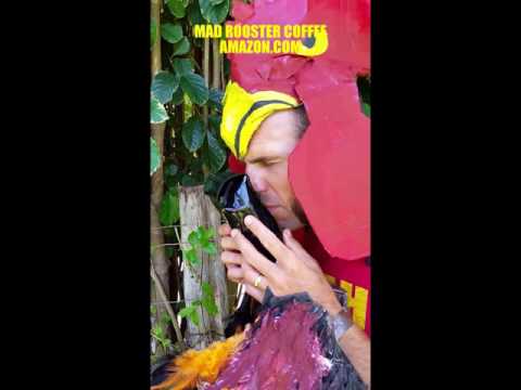 Mad Rooster Cafe Photos