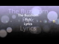 The Buzzhorn - Pick Lyrics 