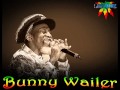 Bunny Wailer - Dance Rock