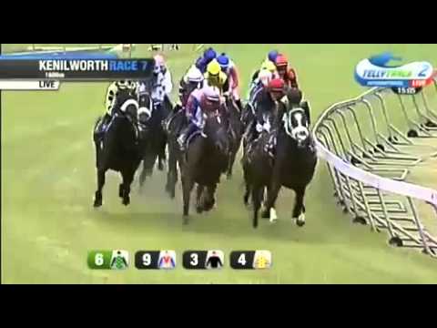 GRAND PARADE CAPE GUINEAS - NOAH FROM GOA