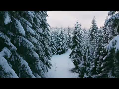 Detroit Oregon Winter 2020