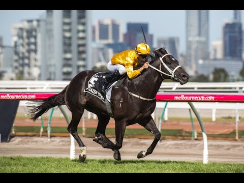 Brazen Beau Champion 3YO Colt In Australia - The Best Of His Generation