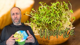 Dollarama Sprouts Kit Update – 2 Weeks of Growth!