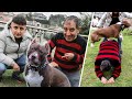 TÜRKİYE'NİN EN AKILLI KÖPEĞİ İLE BİR GÜN GEÇİRMEK !! TÜRKİYE'NİN EN AKILLI KÖPEĞİ İLE BİR GÜN GEÇİRMEK !!