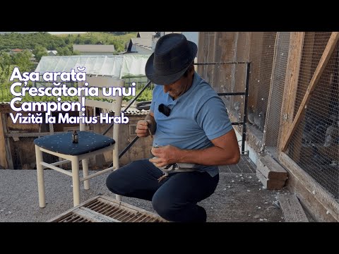 This is what a Champion's Kennel looks like! Visit to Marius Hrab from Suceava County - Step by S...