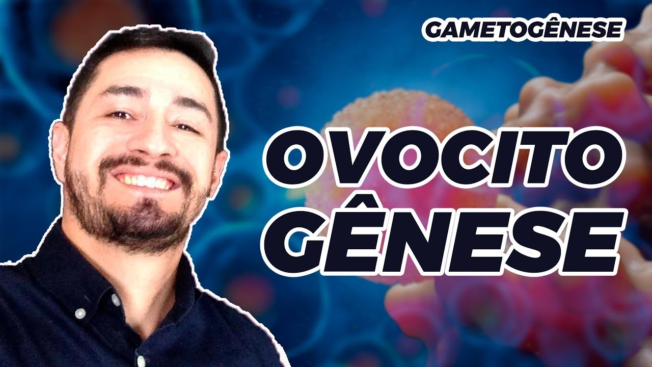 GAMETOGÊNESE FEMININA