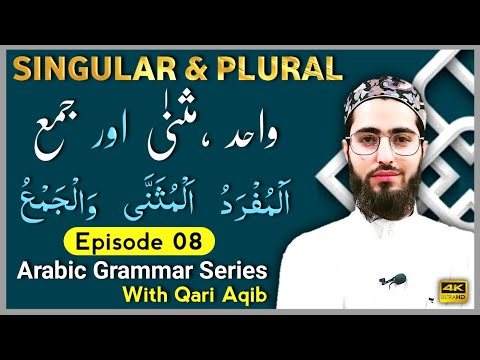 ADDAD | Singular & Plural  | Arabic Grammar Series | Ep- 08 | Qari Aqib