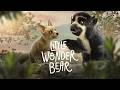 Little Wonder Bear Official Trailer