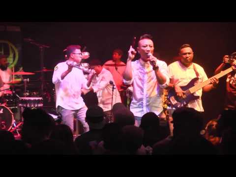 The Fall (Live at the Annexe Studio)