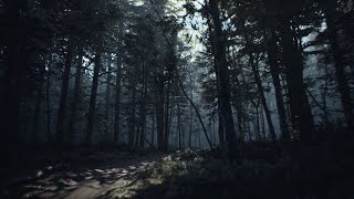 Blair Witch 4K Unreal Engine Photogrammetry Textures