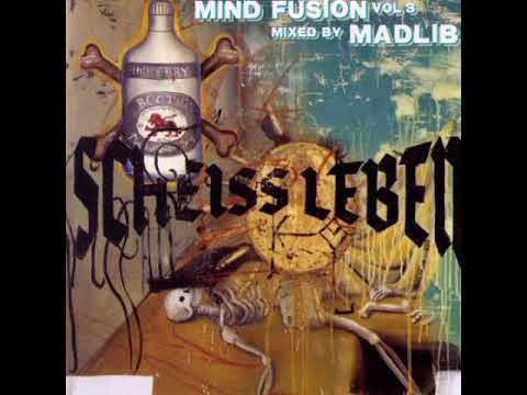 Madlib Mind Fusion Vol.3