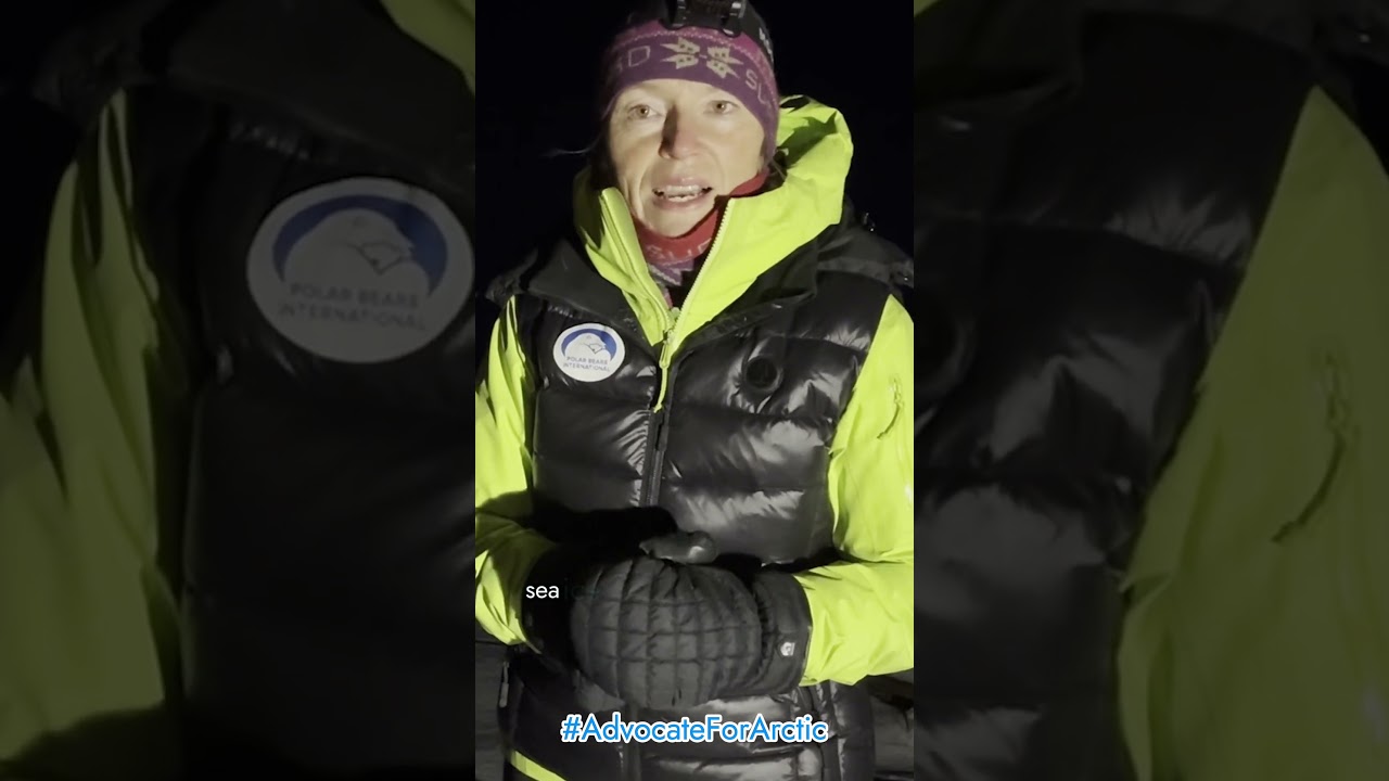 How Explorer Hilde Fålun Strøm Advocates for the Arctic