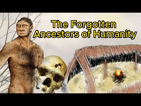 Homo Heidelbergensis: The Forgotten Ancestors of Humanity