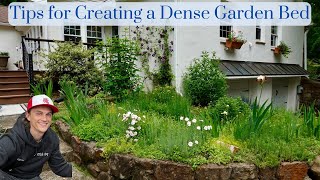 Tips for a Dense Low Maintenance Garden Bed - No Mulch & Less Weeds - Perennial Plants