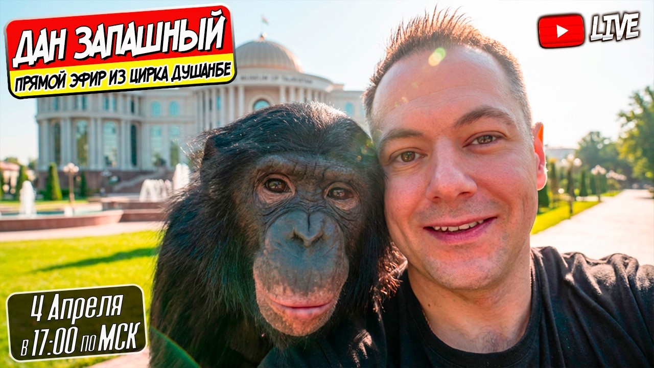 🔴 Вторая Неделя в Душанбе с Даном Запашным и Шимпанзе Боней