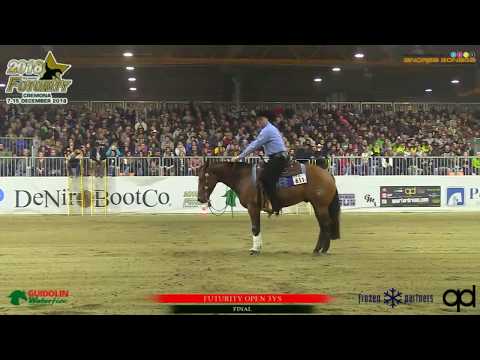 Futurity 2018 - BERNARD FONCK & SPOOK SUNBURST owner KOEN SYMOENS score 227,5