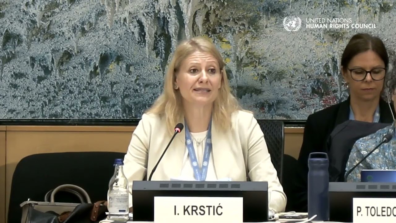 Domestic violence: from private harm to inequality - Ivana Krstić, UN Working Group