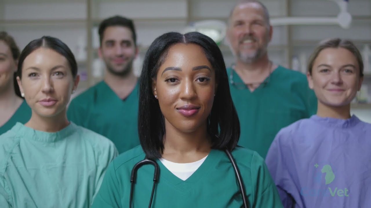 CareVet's Strong Start Program