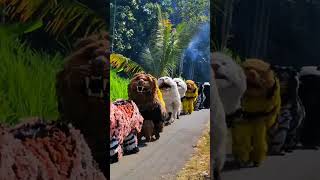 Download lagu Rombongan Can Macanan 👏😳 #shorts #canmacanan #canmacananbondowoso #macanan #barongsaimacan #cover mp3