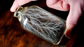 '세이브 더 게임' 3부작 통합 예고편