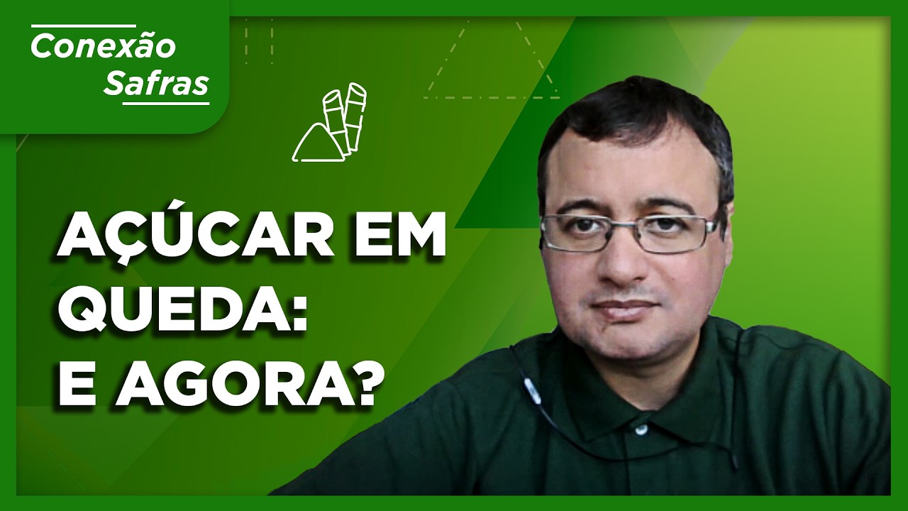 Mercado de Açúcar: queda em Nova York muda o cenário para os preços? - Conexão Safras
