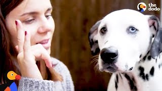 Deaf Dalmatian Rescued by Mom Who Learns Sign Language for Him | The Dodo by The Dodo