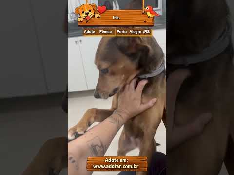 Vídeo de Iris