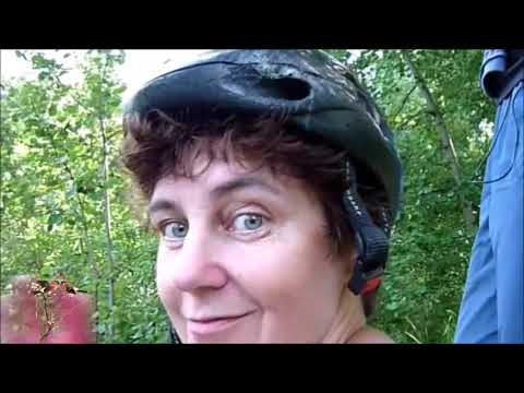 SHUM musical scholar