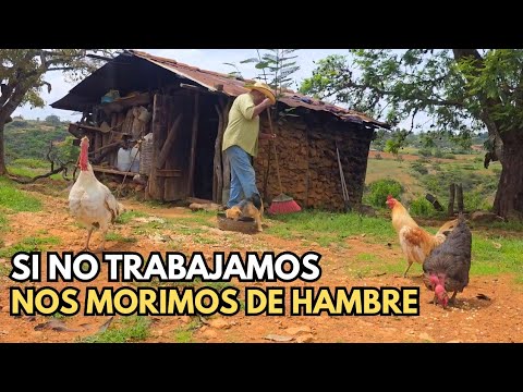 "The hawk came down, took my chicken, that's where I lost my eye" | Uncle Juan