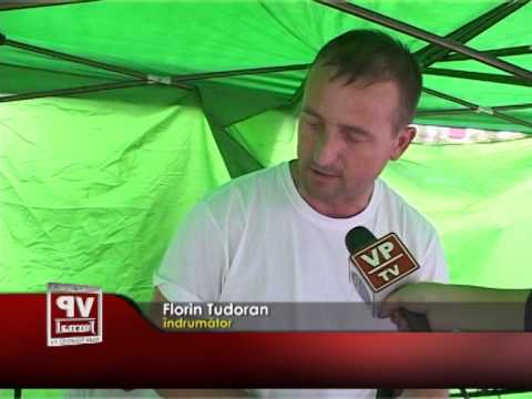 Pasiuni si Mestesuguri