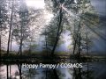 Hoppy Pampy by Cosmos
