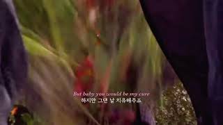 🌷 𝙼𝚢 𝙲𝚞𝚛𝚎 - 테일러 스위프트