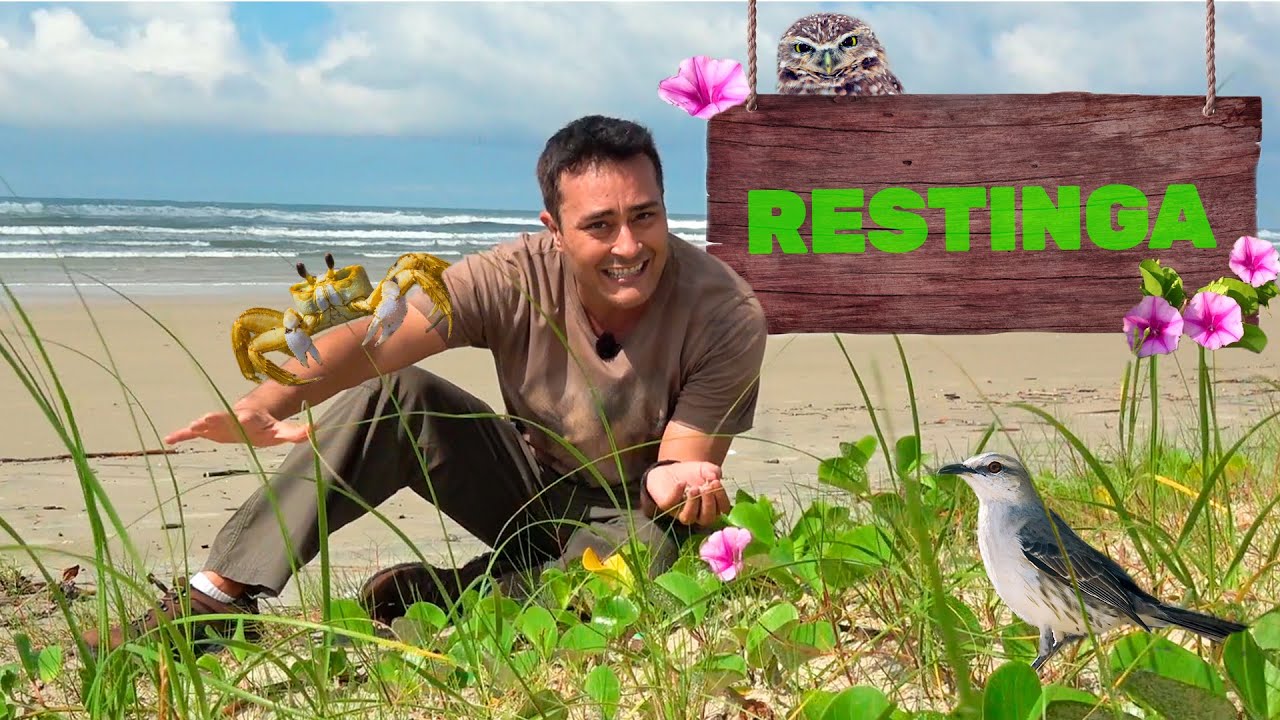Restinga | Biomas do Brasil | Ep. 14