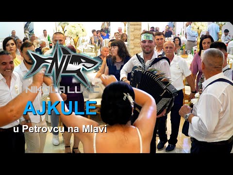 Zestoko od pocetka - Nikola Lukic i AJKULE - splet najzescih kola, svadba u Petrovcu