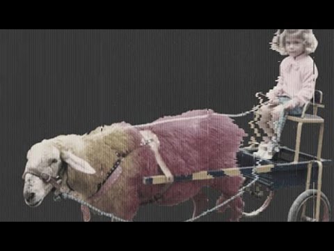 Mosaico Adulto - Pra Quem Faz Distinções