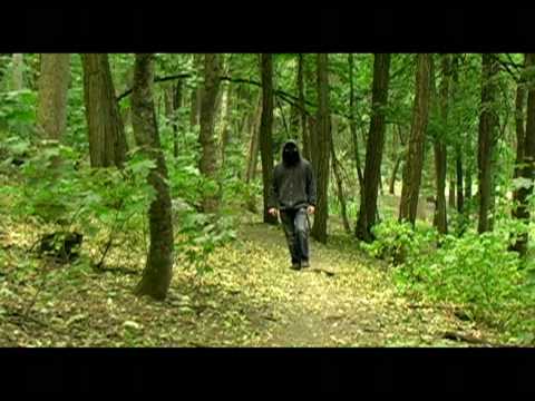 A Meeting in the Woods