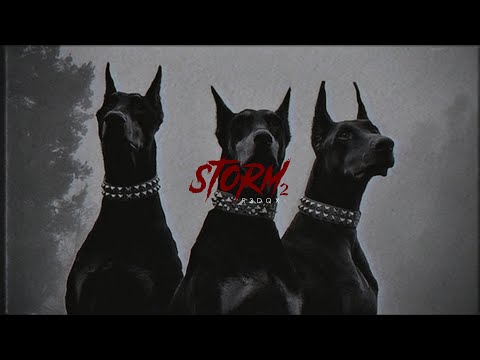 SOLD | (HARD) TRAP METAL TYPE BEAT "STORM PT. 2" | ZILLAKAMI X SCARLXRD TYPE BEAT
