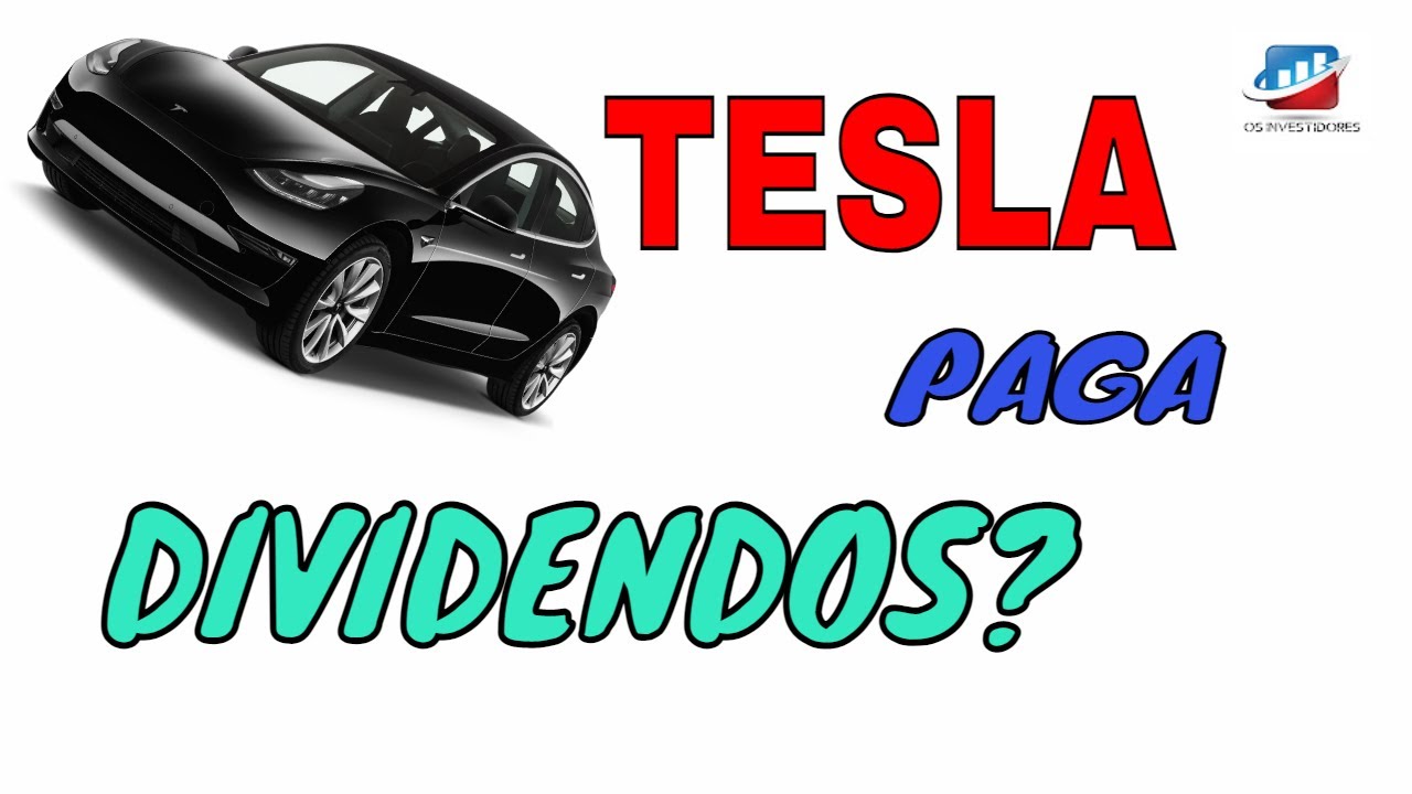 Os Investidores | TESLA PAGA DIVIDENDOS?