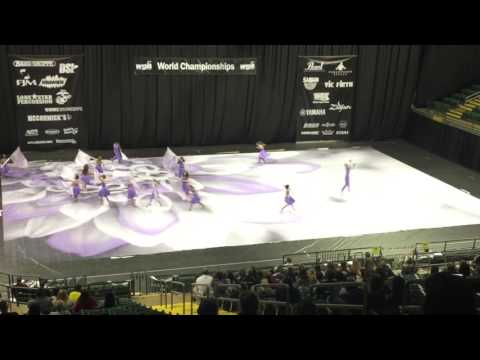 Wentzville Holt HS Winterguard - WGI Semifinals 2017