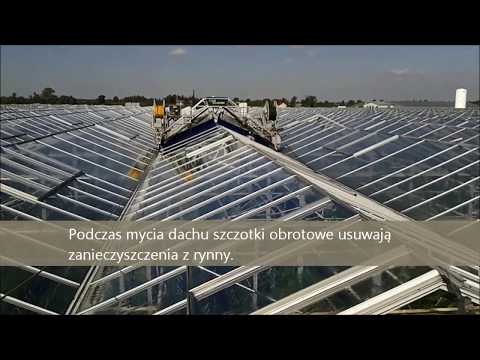 Mycie dachu szklarni