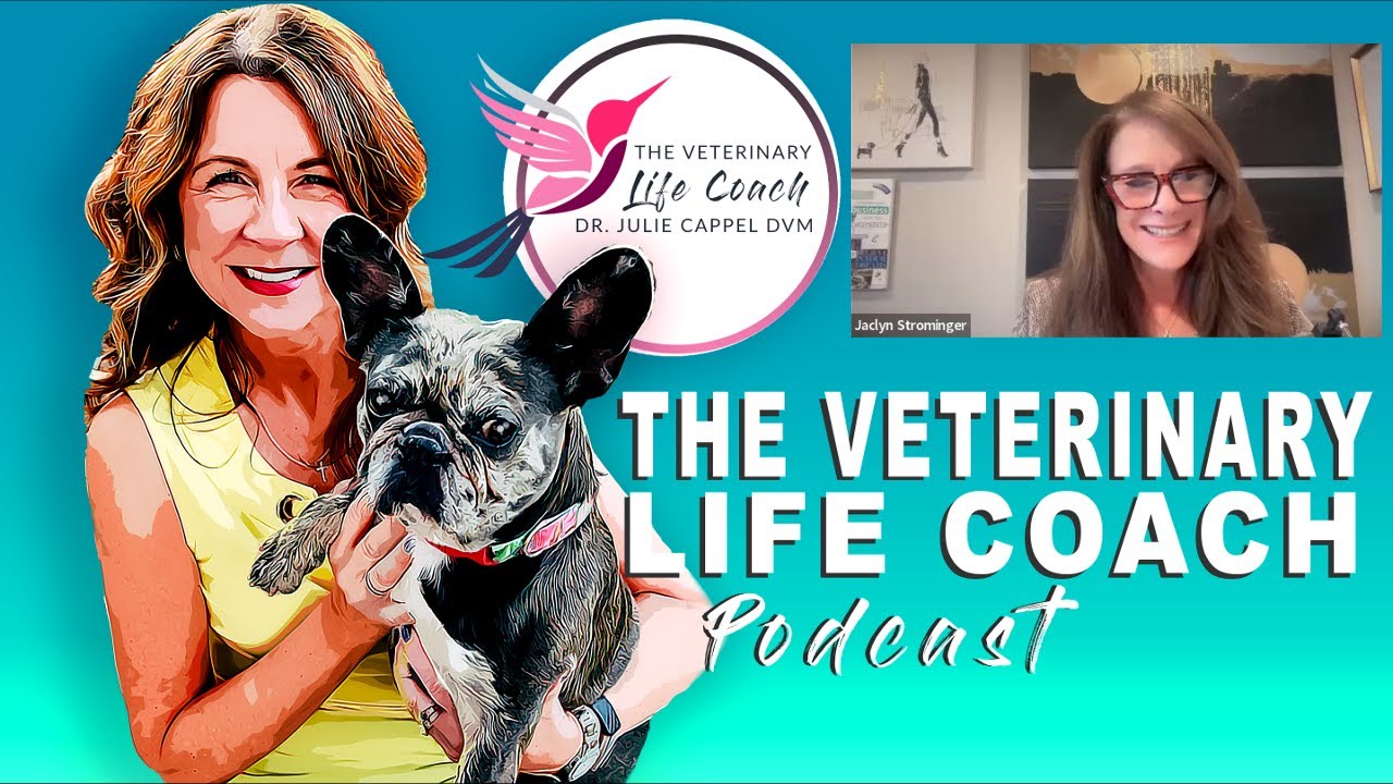 Veterinary Life Coach Podcast Episode #330 | Let's Talk Business Success with Jaclyn Strominger