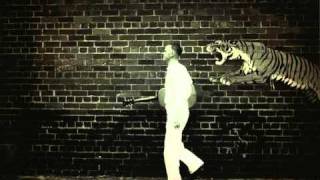 C.W. Stoneking ~ Talkin' Lion Blues