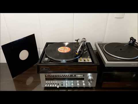 Roshelle Fleming - Love itch (12 inch / 33 rpm) (Vinyl - HQ Audio)