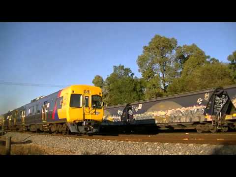 1513s with 3 GM's at Chidda 4/03/2014